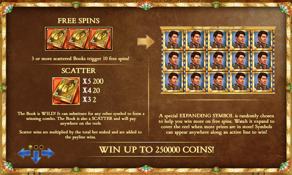 Book of Dead slot game Free Spins Feature