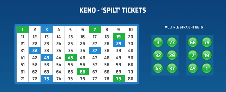 Split Ticket