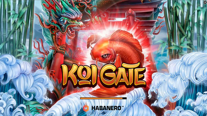 Welcome to Koi Gate